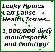 leaky home mould