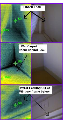 Photo 1 is where the washing machine site. Photo 2 is the room behind the laundry with wet carpet, and photo 3 is the window underneath where the water was dripping through the frame!